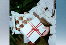 « Les ajustements », le nouveau single de Cielbleu