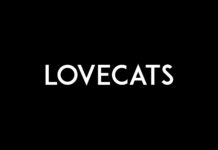 « IDG », le nouveau single de Lovecats