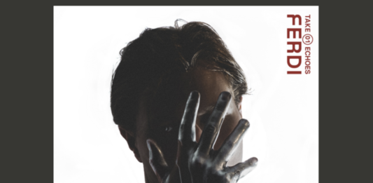 Ferdi dévoile la réédition de « Take 01 echoes »