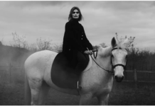 « A girl like you », le nouveau single d’Animal Triste