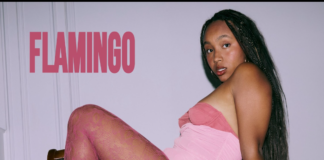 « Flamingo », le nouveau single de Carel