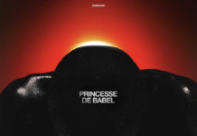 « Princesse de Babel », le nouveau single de Zamdane