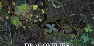 « Slower », le premier single de Dragonflies